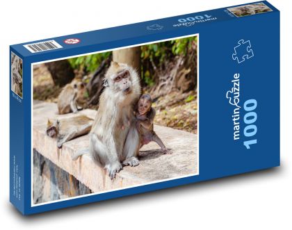Opice - makak, mláďa - Puzzle 1000 dielikov, rozmer 60x46 cm