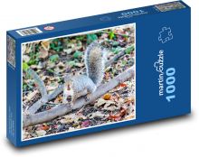 Šedá veverička - zviera, hlodavec Puzzle 1000 dielikov - 60 x 46 cm 