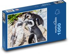 Tučňák brýlový - zvíře, v zoo Puzzle 1000 dílků - 60 x 46 cm