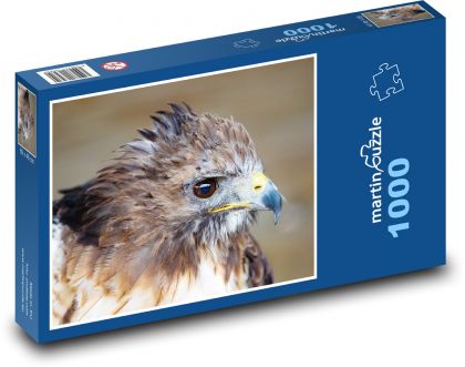 Sokol - dravec, čierne oči - Puzzle 1000 dielikov, rozmer 60x46 cm