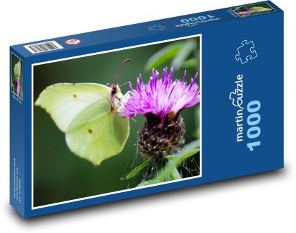 Green butterfly - flower, garden - Puzzle 1000 pieces, size 60x46 cm 