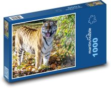 Amur-Tiger - Fleischfresser, Jäger Puzzle 1000 Teile - 60 x 46 cm