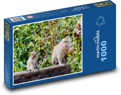 Opice v džungli - makak, strom - Puzzle 1000 dílků, rozměr 60x46 cm