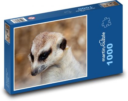 Surikata - sledování, zblízka - puzzle 1000 dílků