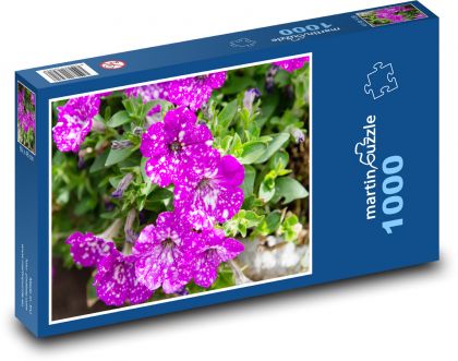 Nachový květ - zahrada, květina - puzzle 1000 dílků