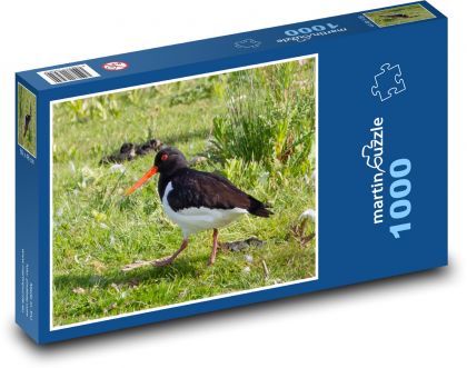 Vodný vták - oranžový zobák, perie - Puzzle 1000 dielikov, rozmer 60x46 cm
