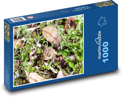 Žába v trávě - obojživelník, ropucha - Puzzle 1000 dílků, rozměr 60x46 cm