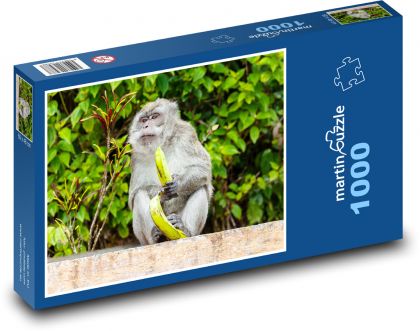 Makak a banán - opice, jíst - puzzle 1000 dílků
