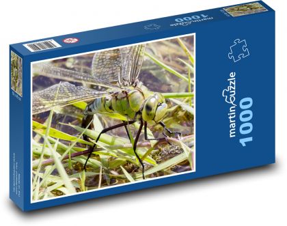 Imperial dragonfly - insects, wings - Puzzle 1000 pieces, size 60x46 cm 