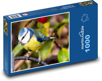 Sikora modra - ptak, sikora - Puzzle 1000 elementów, rozmiar 60x46 cm