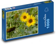 Západná slnečnica - žltý kvet, záhrada Puzzle 1000 dielikov - 60 x 46 cm 