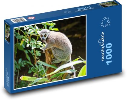 Lemur - animal, Madagascar - Puzzle 1000 pieces, size 60x46 cm 