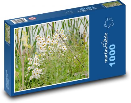 Kopretina volská - louka, sedmikráska - puzzle 1000 dílků