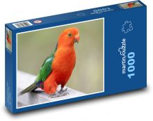 Australský papoušek královský - pták, peří Puzzle 1000 dílků - 60 x 46 cm