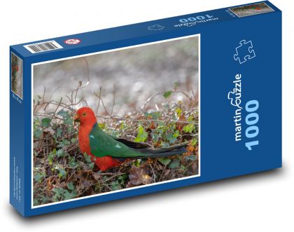 Papoušek - australský královský, pták - Puzzle 1000 dílků, rozměr 60x46 cm