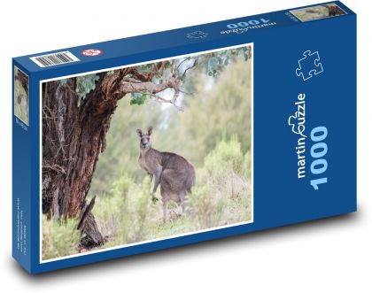 Klokan šedivý - Austrálie, zvíře - puzzle 1000 dílků