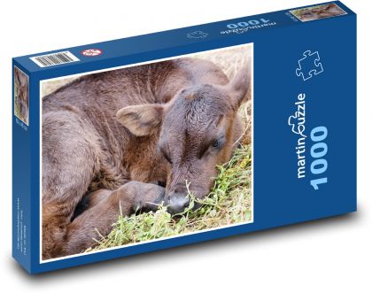Tele - mladá krava, zviera - Puzzle 1000 dielikov, rozmer 60x46 cm