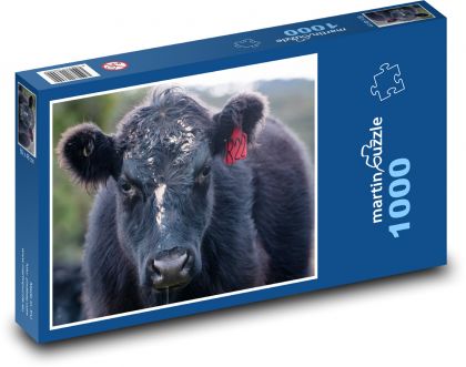 Čierna krava - dobytok, zviera - Puzzle 1000 dielikov, rozmer 60x46 cm