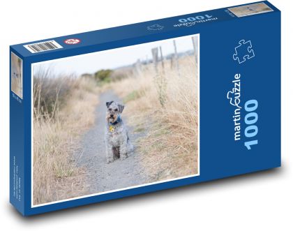 Schnoodle - zwierzak, pies - Puzzle 1000 elementów, rozmiar 60x46 cm