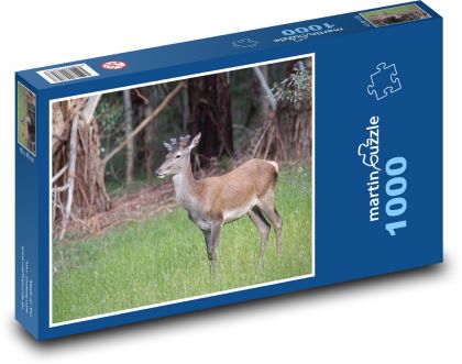 Jeleň - zviera, les - Puzzle 1000 dielikov, rozmer 60x46 cm