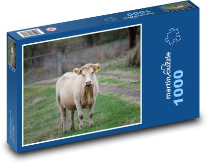 Kráva - dobytek, zvíře - Puzzle 1000 dílků, rozměr 60x46 cm