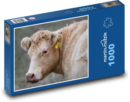 Kráva - dobytek, skot - Puzzle 1000 dílků, rozměr 60x46 cm