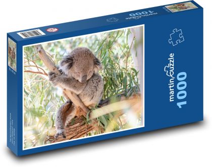 Koala na stromě - vačnatec, býložravec - Puzzle 1000 dílků, rozměr 60x46 cm