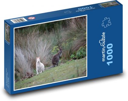 White kangaroo - animal, marsupial - Puzzle 1000 pieces, size 60x46 cm 