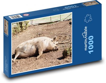Pig - pet, farm - Puzzle 1000 pieces, size 60x46 cm 