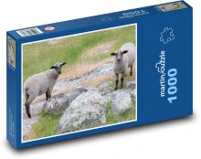 Ovce - pastvina, farma Puzzle 1000 dielikov - 60 x 46 cm