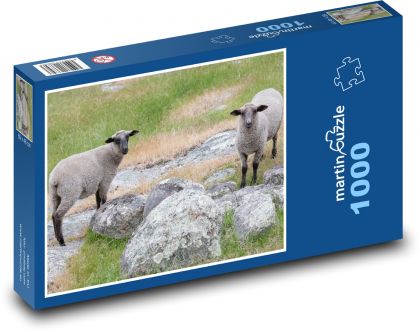 Ovce - pastvina, farma  - Puzzle 1000 dílků, rozměr 60x46 cm