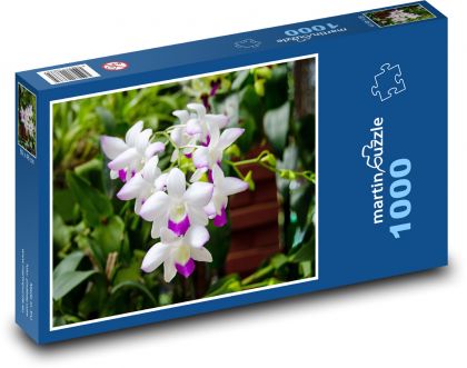 Orchidej - květ, květina - Puzzle 1000 dílků, rozměr 60x46 cm