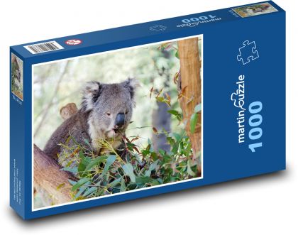 Koala na stromě - vačnatec, zvíře - Puzzle 1000 dílků, rozměr 60x46 cm