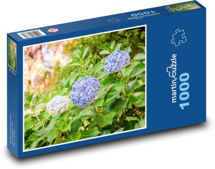 Květ hortenzie - rostlina, květina  - Puzzle 1000 dílků, rozměr 60x46 cm