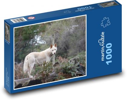 Dingo - pes, zvíře - Puzzle 1000 dílků, rozměr 60x46 cm