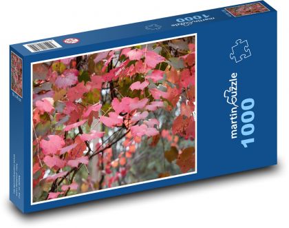 Vinná réva - listy, podzim - Puzzle 1000 dílků, rozměr 60x46 cm