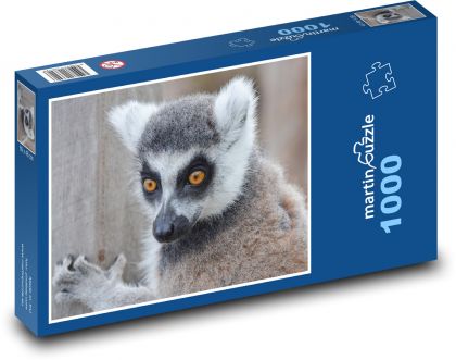Lemur - divá zver, Madagaskar - Puzzle 1000 dielikov, rozmer 60x46 cm