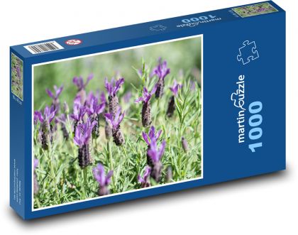 Lavender - flowers, spring - Puzzle 1000 pieces, size 60x46 cm 