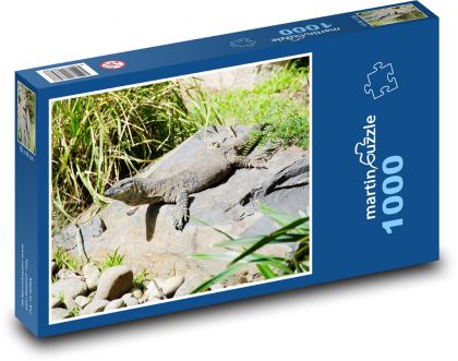 Varan - plaz, ještěrka - puzzle 1000 dílků