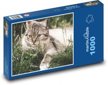 Mačka - maznáčik, fúzy Puzzle 1000 dielikov - 60 x 46 cm 