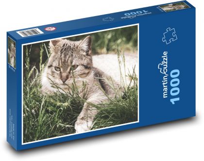 Kočka - mazlíček, vousky - Puzzle 1000 dílků, rozměr 60x46 cm