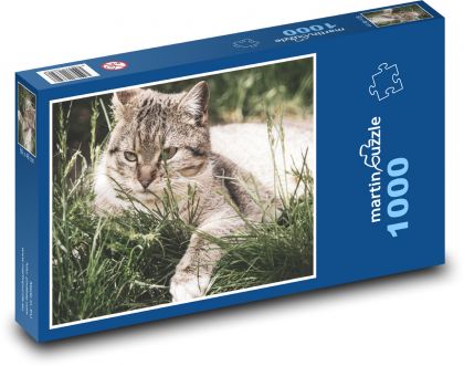 Cat - pet, whiskers - Puzzle 1000 pieces, size 60x46 cm 
