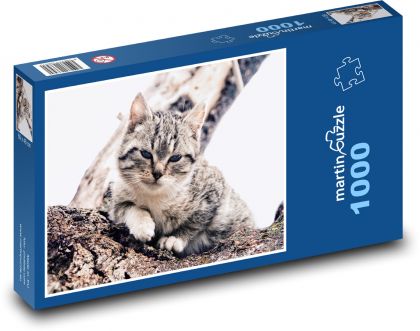 Kočka - mazlíček, strom - Puzzle 1000 dílků, rozměr 60x46 cm