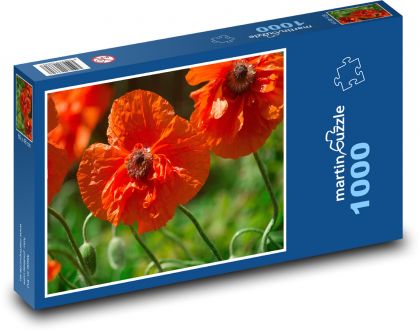 Vlčí mak - červené kvety, lúka - Puzzle 1000 dielikov, rozmer 60x46 cm