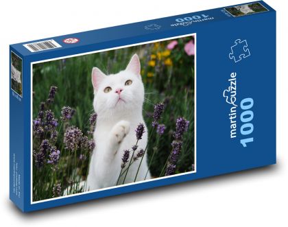 Britská krátkosrstá mačka - biela, záhrada - Puzzle 1000 dielikov, rozmer 60x46 cm