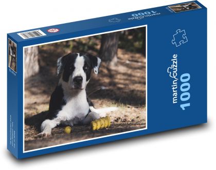 Roztomilý pes - mazlíček, venku - Puzzle 1000 dílků, rozměr 60x46 cm