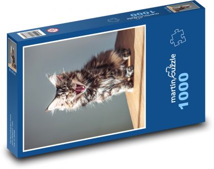 Mačka domáca - mačiatko, rev - Puzzle 1000 dielikov, rozmer 60x46 cm