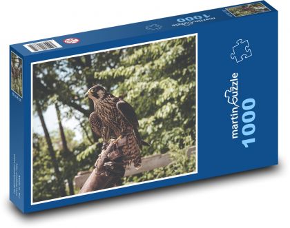 Sokol - vták, dravec - Puzzle 1000 dielikov, rozmer 60x46 cm