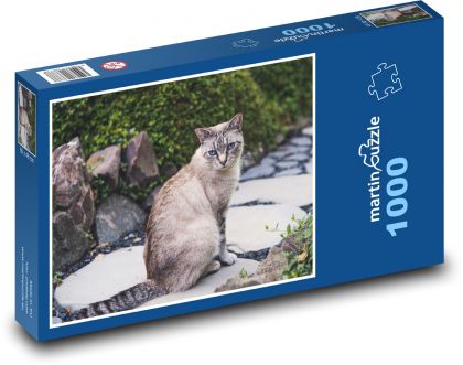 Siamská mačka - záhrada, vonku - Puzzle 1000 dielikov, rozmer 60x46 cm