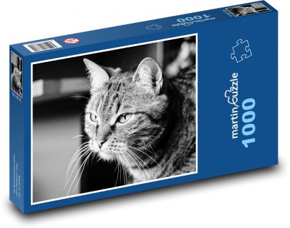 Katze - Schnurrhaare, getigert - Puzzle - 1000 Teile